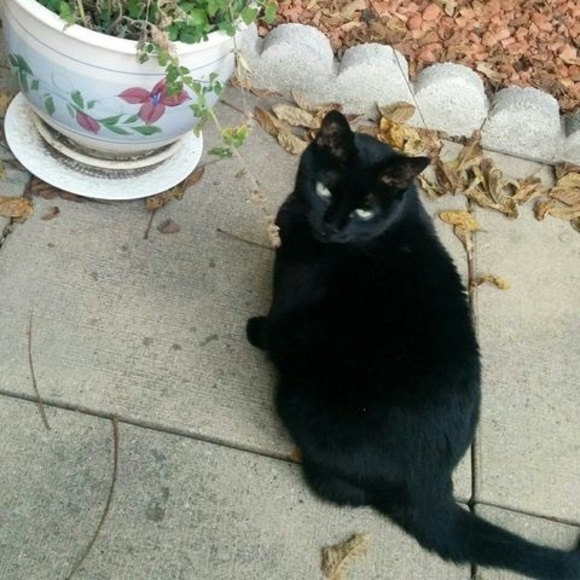 Meet your Posher, Lisa - Picture 1 of 1